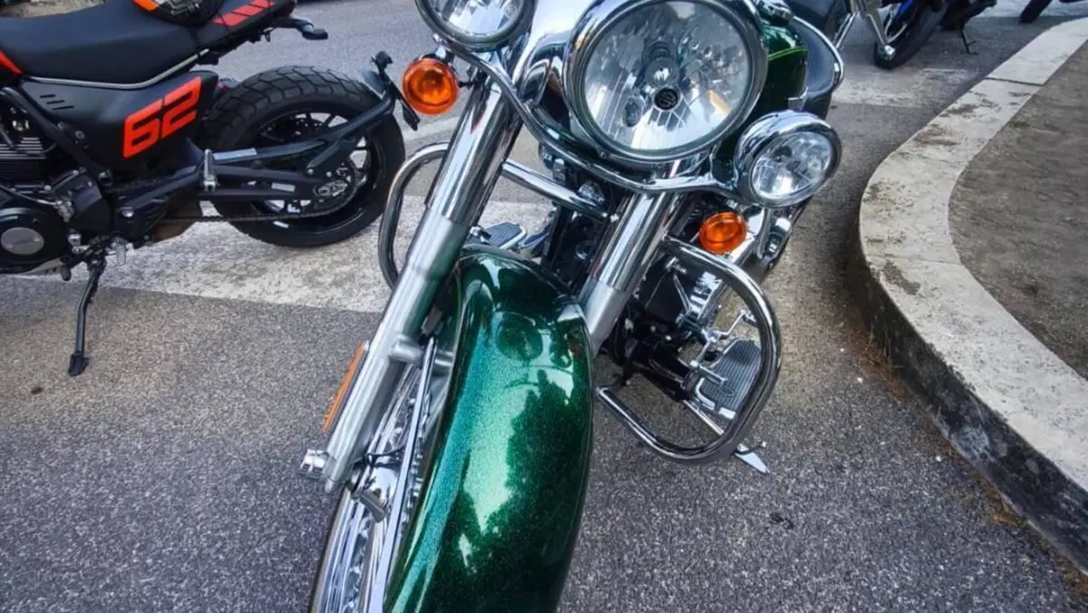 Harley-Davidson 1690 Deluxe ABS (2011 - 16) - FLSTN  (6)
