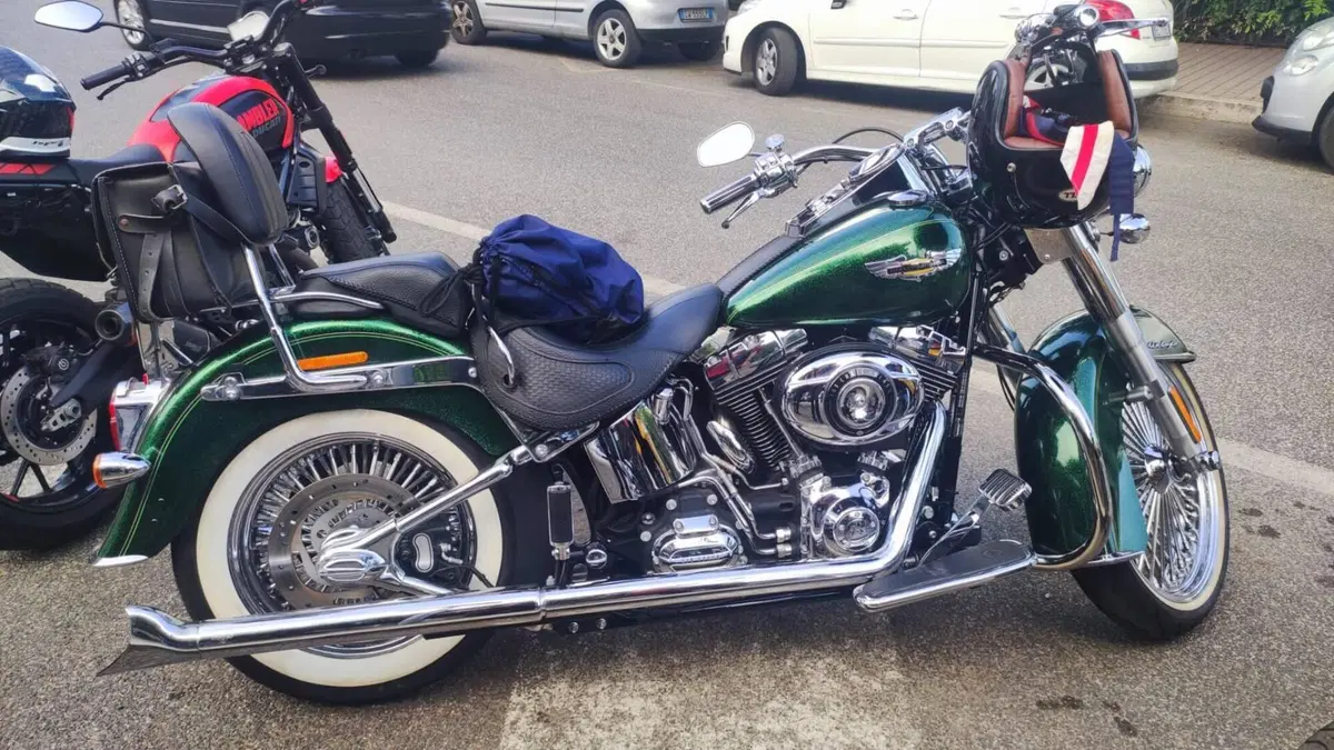 Harley-Davidson 1690 Deluxe ABS (2011 - 16) - FLSTN  (9)
