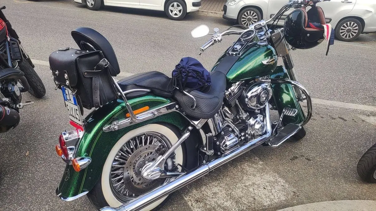Harley-Davidson 1690 Deluxe ABS (2011 - 16) - FLSTN  (10)