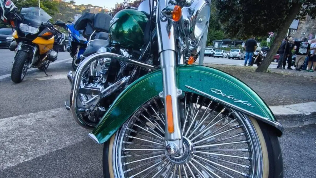 Harley-Davidson 1690 Deluxe ABS (2011 - 16) - FLSTN  (11)