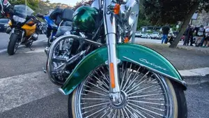 Harley-Davidson 1690 Deluxe ABS (2011 - 16) - FLSTN  (11)