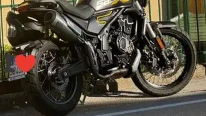 Voge Trofeo 525ACX Scrambler (2023 - 26) 