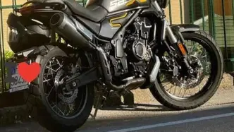 Voge Trofeo 525ACX Scrambler (2023 - 26) usata