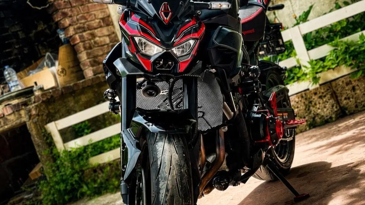 Kawasaki Z 900 A2 (2025 - 26) 