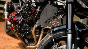 Kawasaki Z 900 A2 (2025 - 26)  (3)