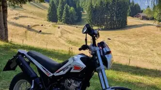 Betamotor Alp 200 (2009 - 17) usata