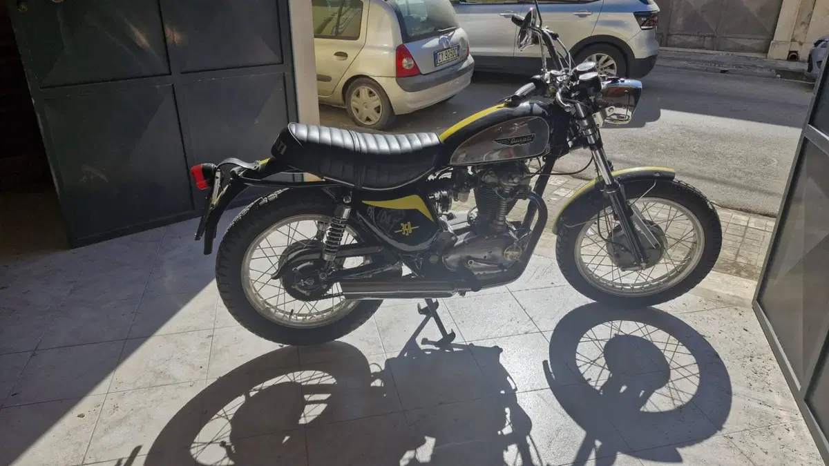 Ducati   (3)
