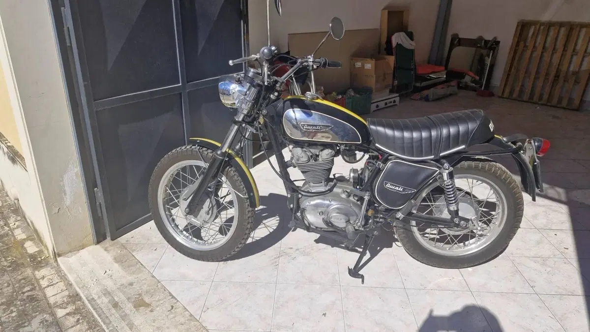 Ducati   (5)