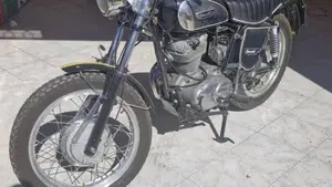 Ducati   (6)