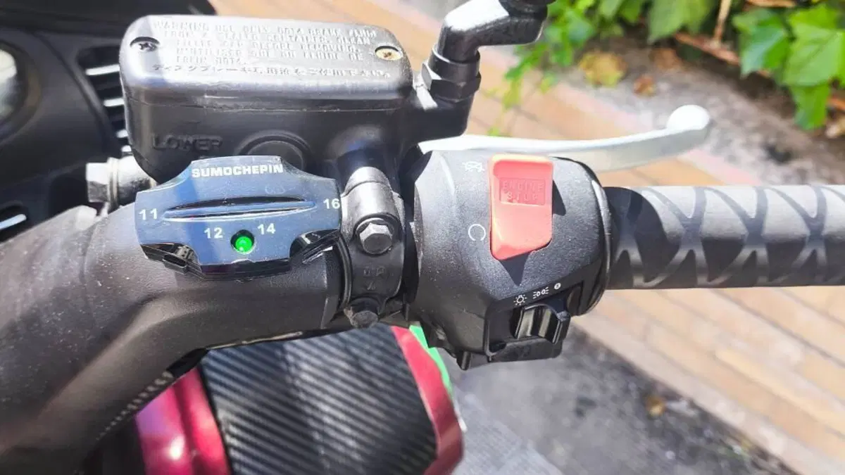 Honda Silver Wing 600 (2001 - 05)  (4)