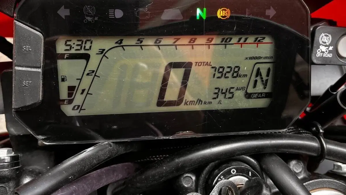 Honda CRF 300L (2021 - 24)  (5)