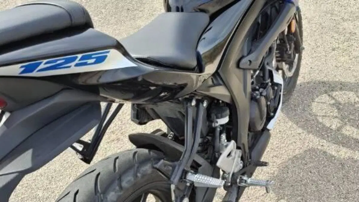 Suzuki GSX-S125 (2022 - 24)  (3)