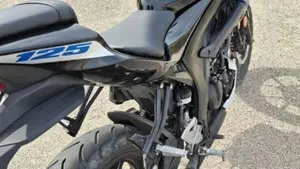 Suzuki GSX-S125 (2022 - 24)  (3)