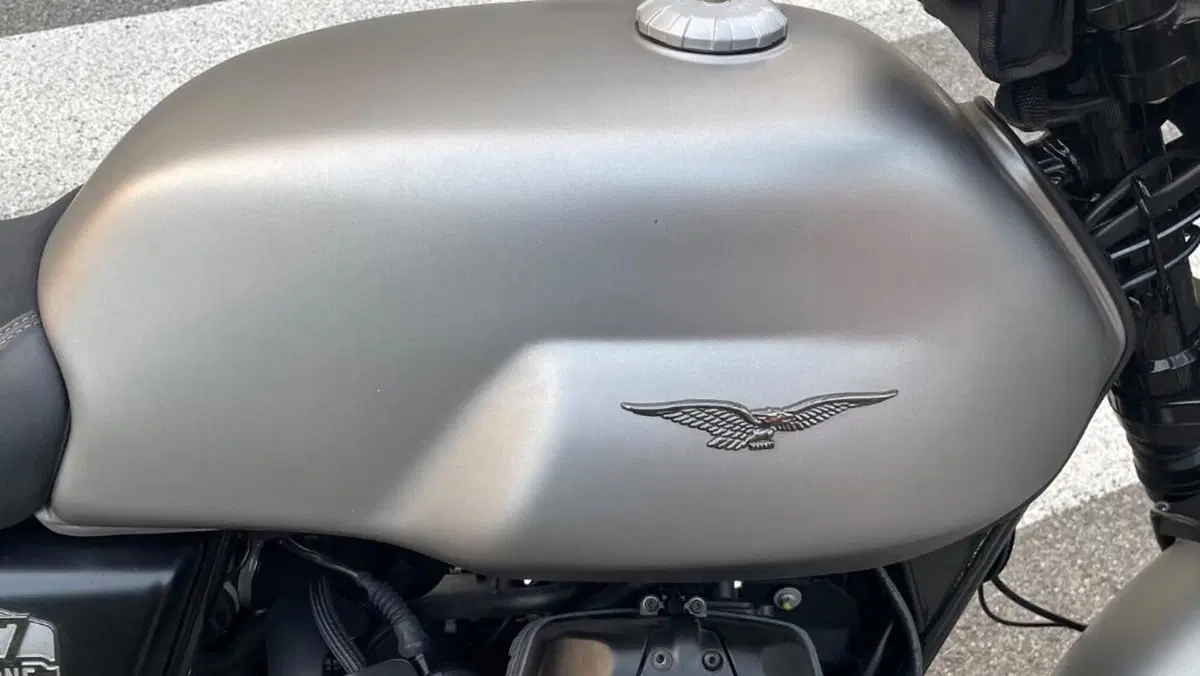 Moto Guzzi V7 Stone (2021 - 24)  (6)