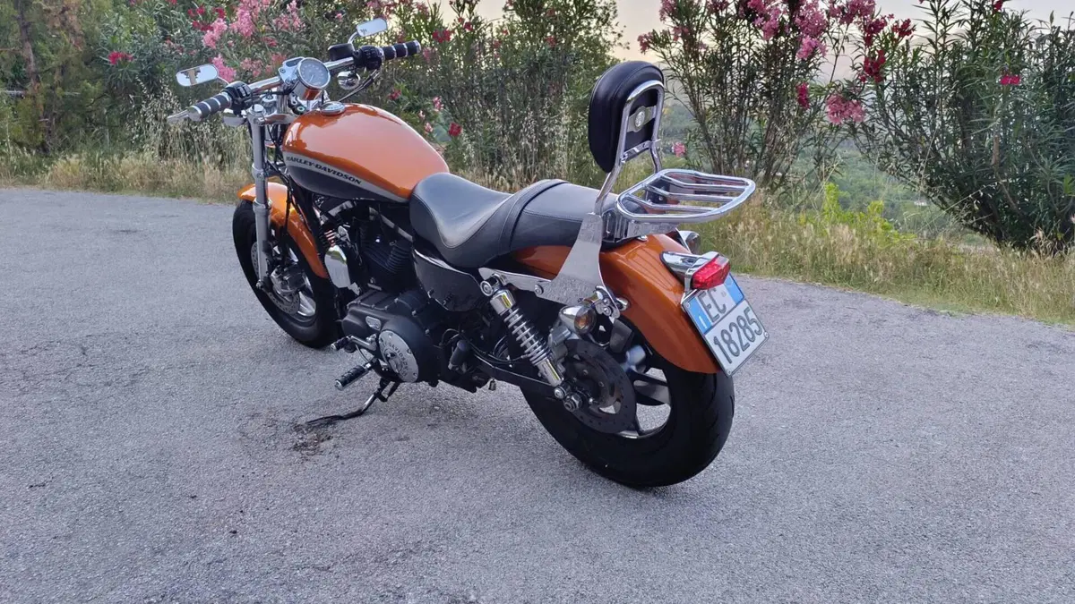 Harley-Davidson 1200 Custom CA (2013 - 17) - XL 1200CA  (3)