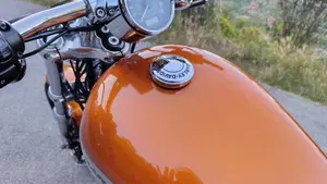 Harley-Davidson 1200 Custom CA (2013 - 17) - XL 1200CA  (6)