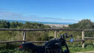 Ducati Scrambler 800 Cafè Racer (2017 - 21)  (5)