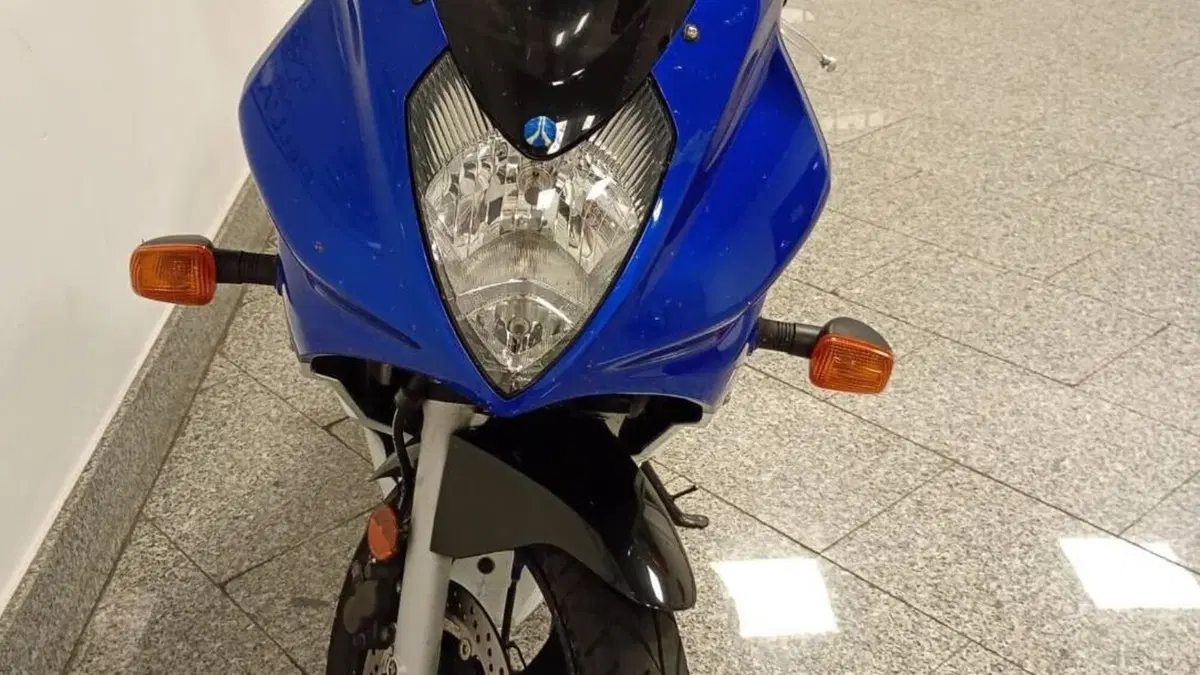 Suzuki GS 500 F (2004 - 06)  (6)