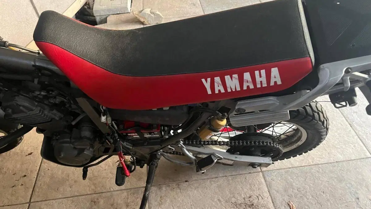 Yamaha   (8)