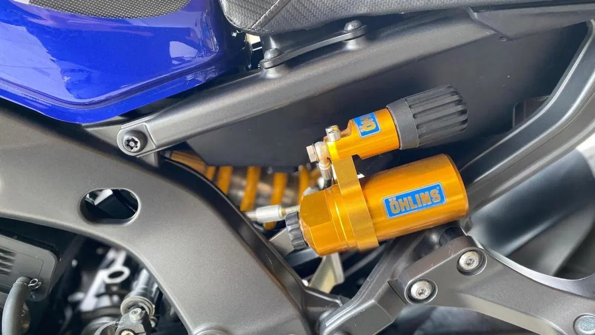 Yamaha MT-09 (2021 - 23)  (4)