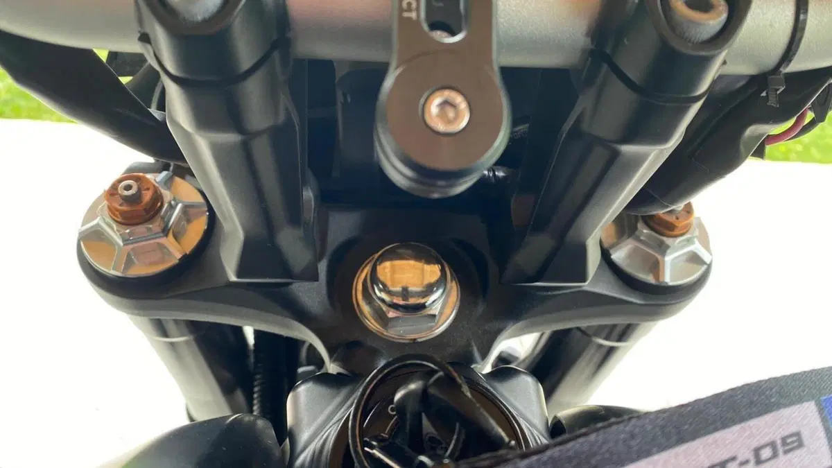 Yamaha MT-09 (2021 - 23)  (6)