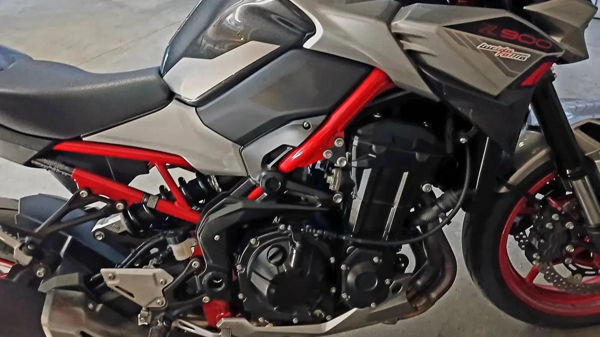 Kawasaki Z 900 (2021 - 24)  (2)