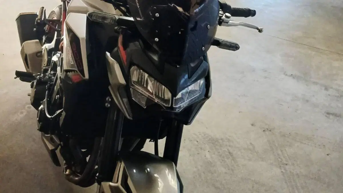 Kawasaki Z 900 (2021 - 24)  (5)