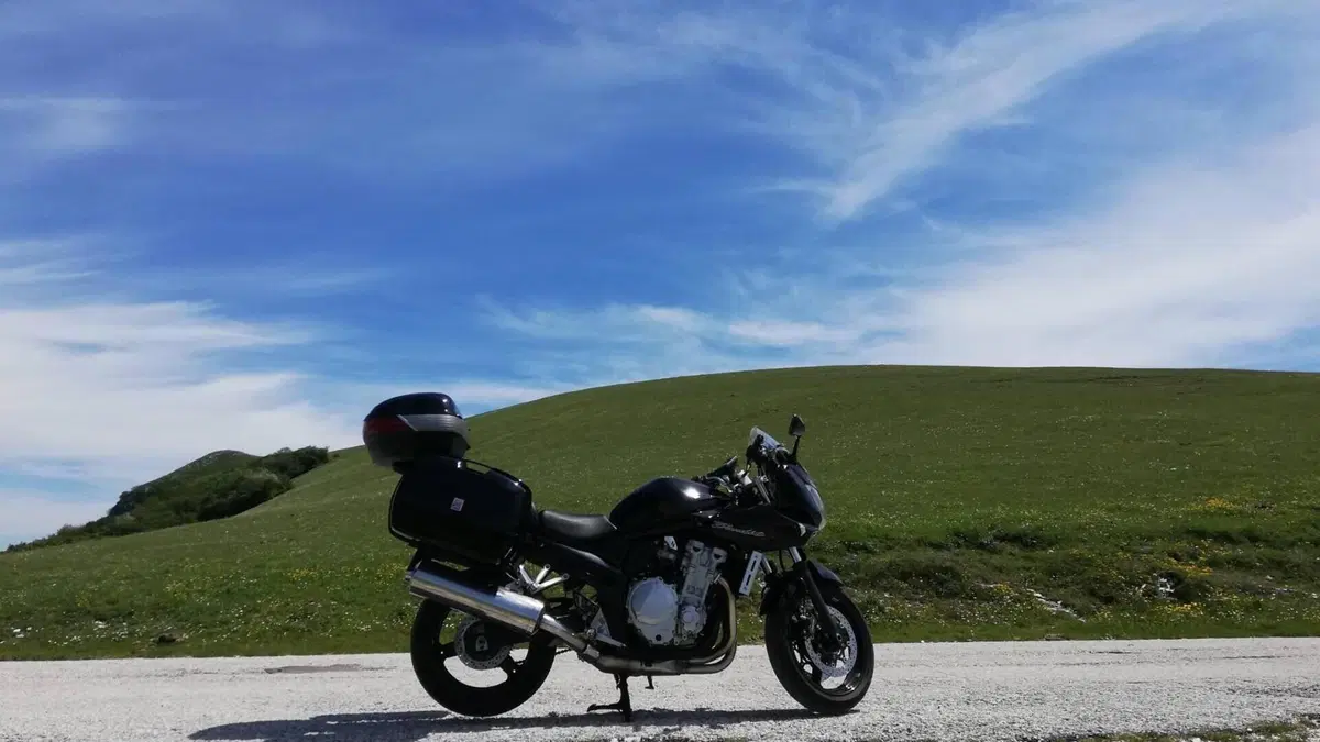 Suzuki GSF 650 Bandit S (2006 - 12) 