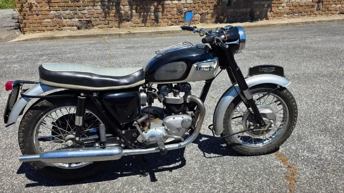 Triumph   (2)