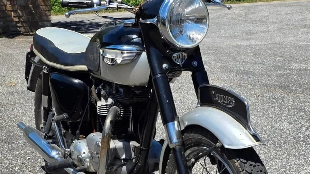 Triumph   (3)