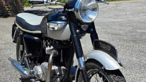 Triumph   (3)