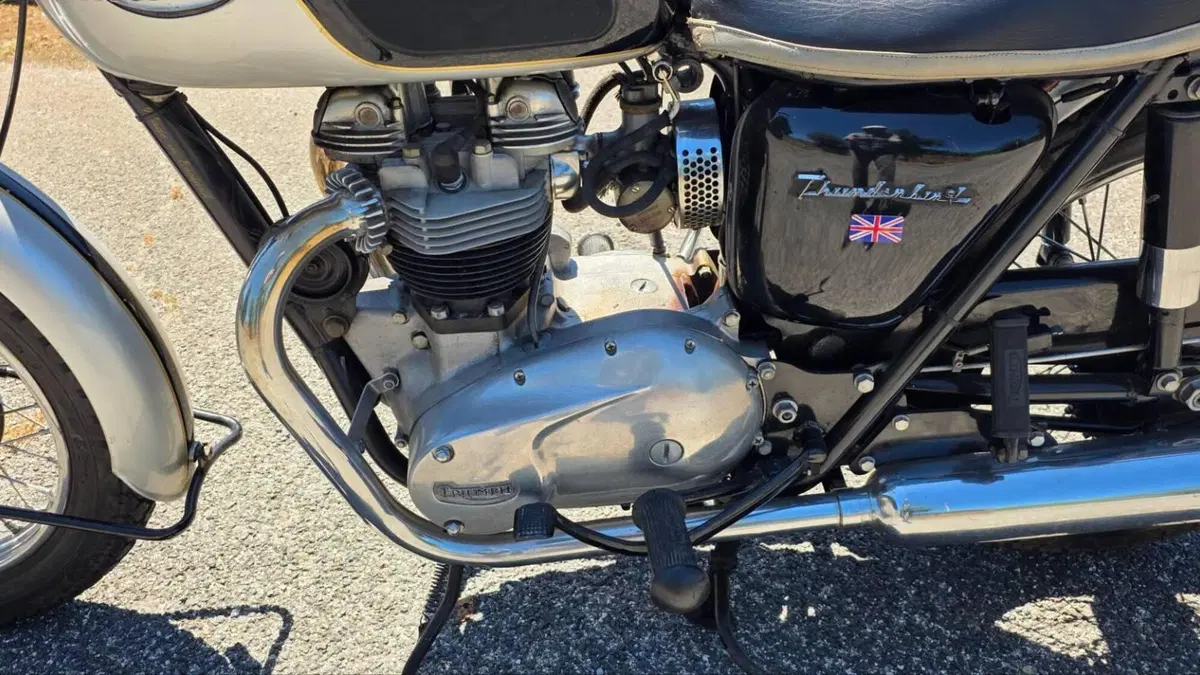 Triumph   (5)