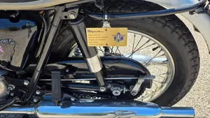 Triumph   (7)