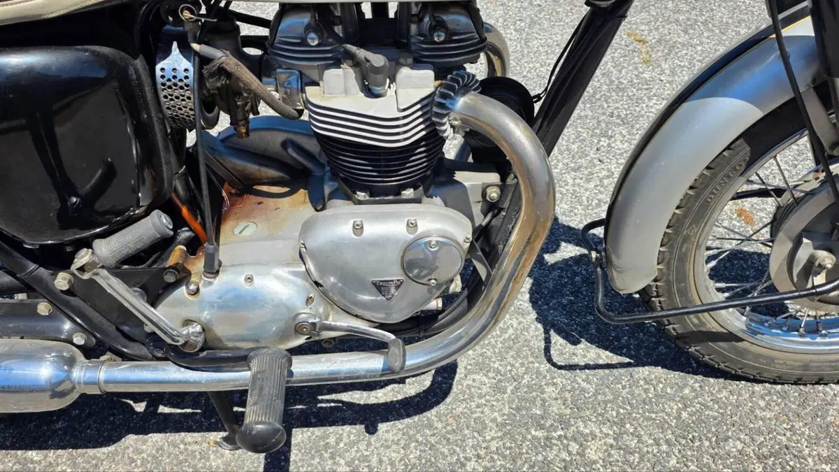 Triumph   (8)