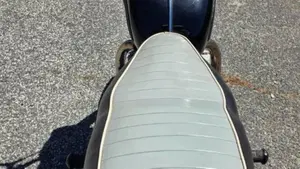 Triumph   (12)