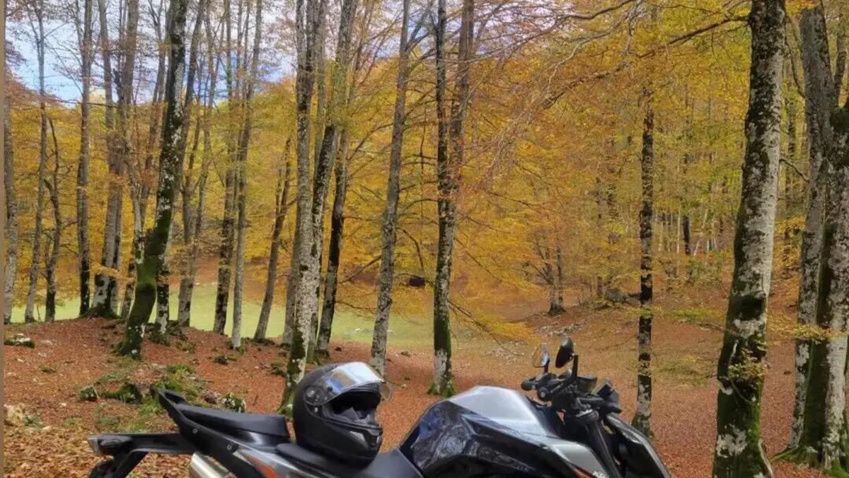 KTM 790 Duke (2018 - 20) 