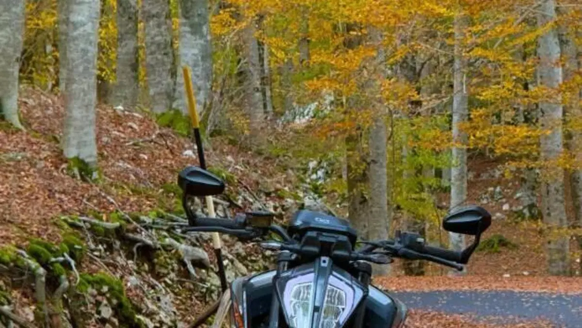 KTM 790 Duke (2018 - 20)  (4)
