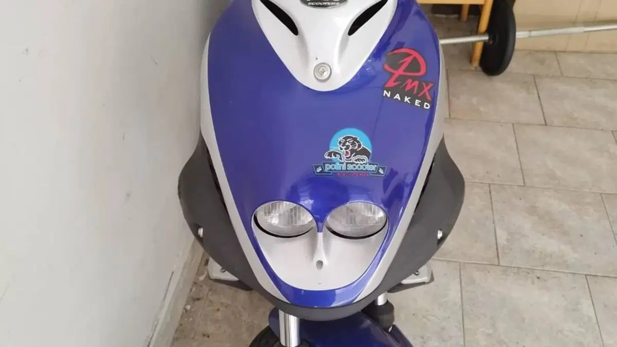 Pgo Big Max 50 
