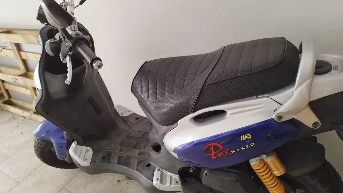 Pgo Big Max 50  (2)