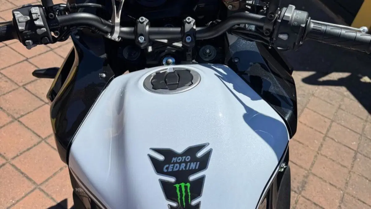 Kawasaki Versys 1000 (2019 - 20)  (8)