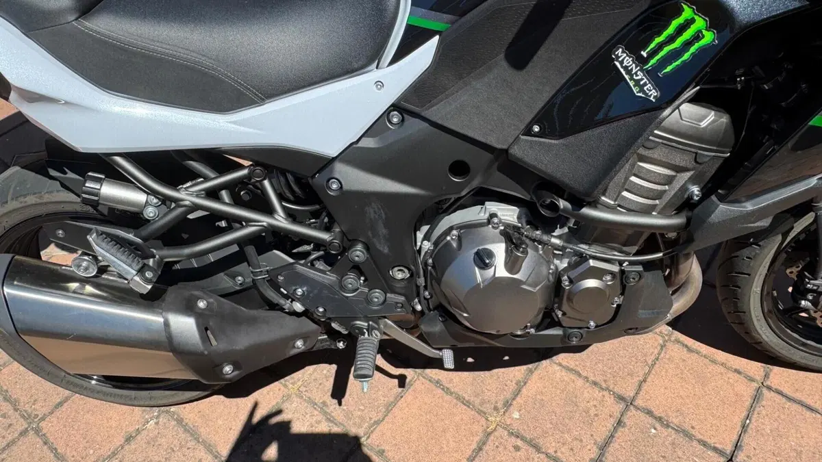Kawasaki Versys 1000 (2019 - 20)  (12)