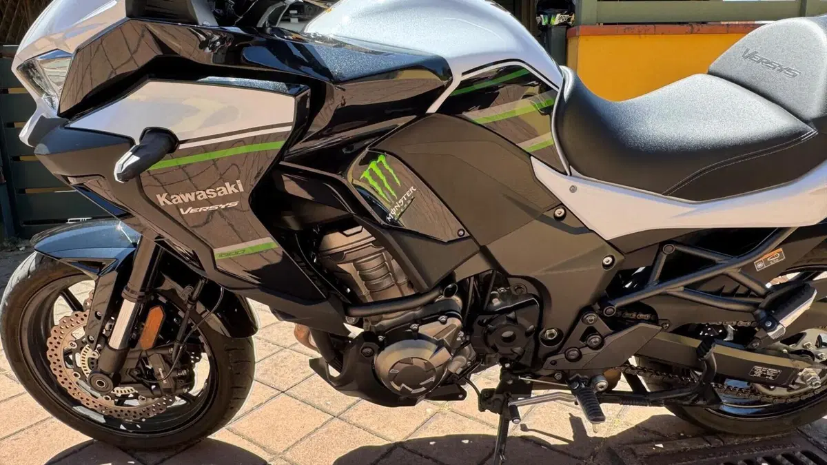 Kawasaki Versys 1000 (2019 - 20)  (15)
