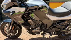 Kawasaki Versys 1000 (2019 - 20)  (15)