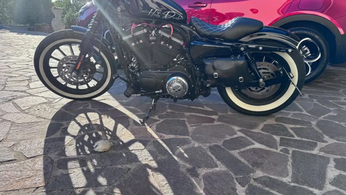 Harley-Davidson 883 Iron (2009 - 11) - XL 883N  (2)