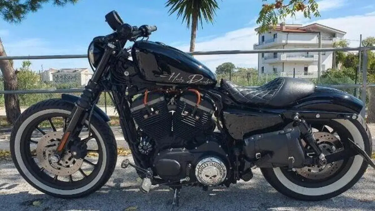Harley-Davidson 883 Iron (2009 - 11) - XL 883N  (3)