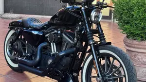 Harley-Davidson 883 Iron (2009 - 11) - XL 883N  (4)