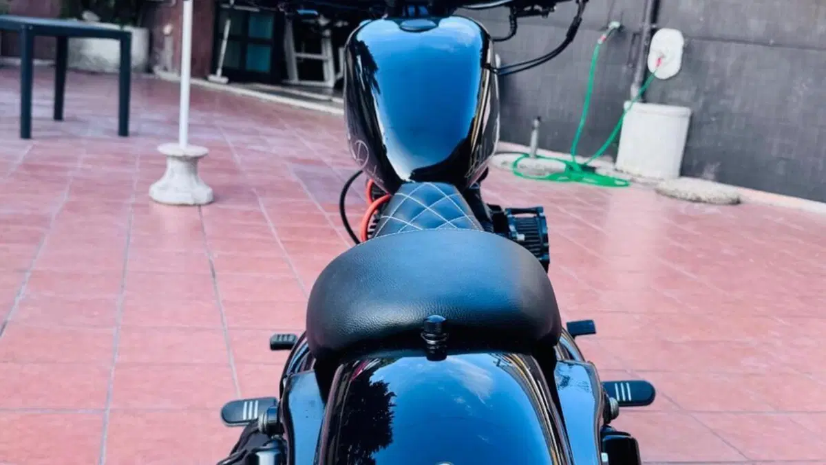 Harley-Davidson 883 Iron (2009 - 11) - XL 883N  (5)