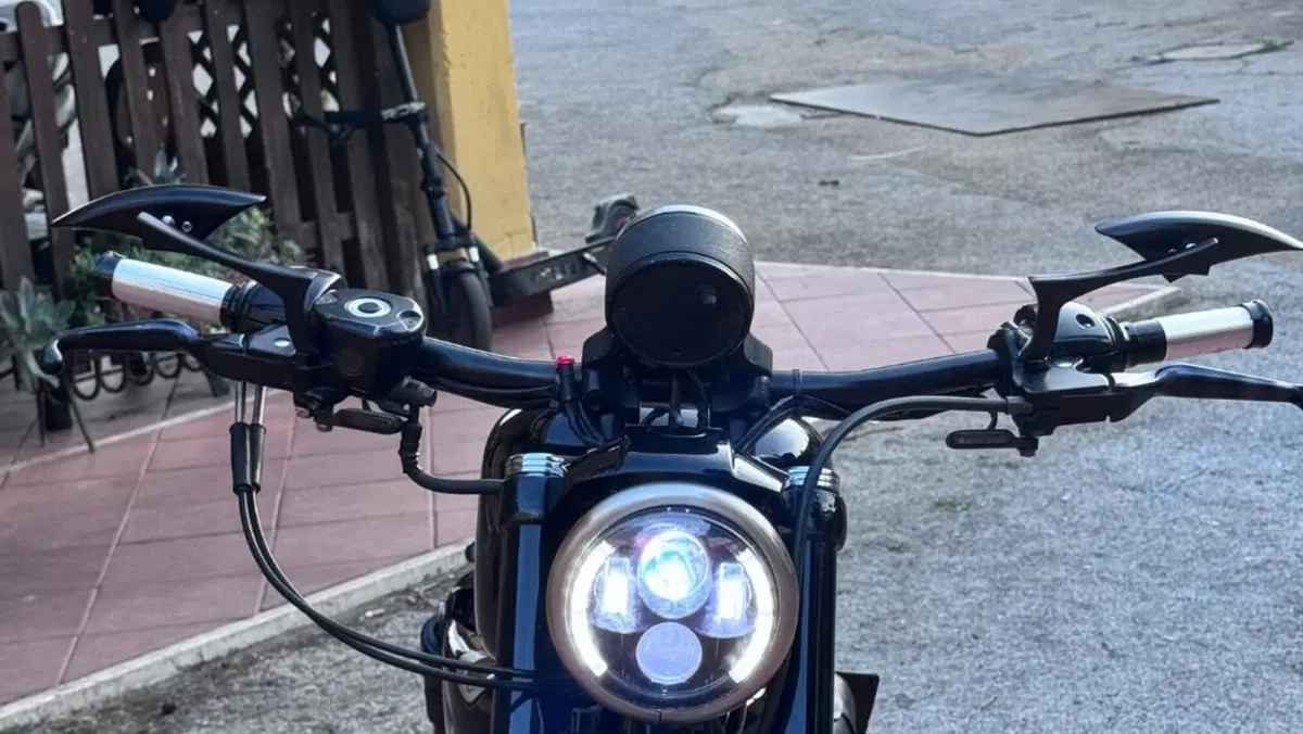 Harley-Davidson 883 Iron (2009 - 11) - XL 883N  (6)