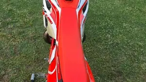 Betamotor RR X-PRO 300 2T Enduro (2025)  (11)