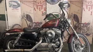 Harley-Davidson 1200 Seventy-Two (2011 - 16)  (10)